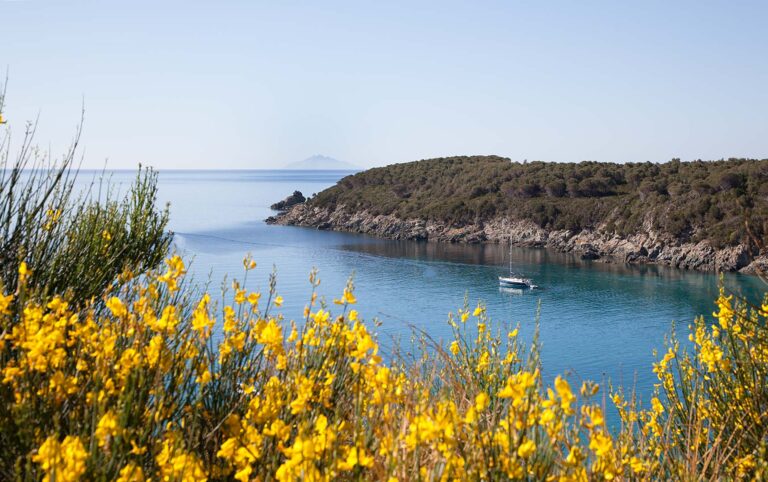 Spiaggia di Fetovaia