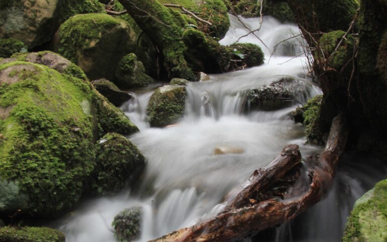 Outdoor Isola d'Elba