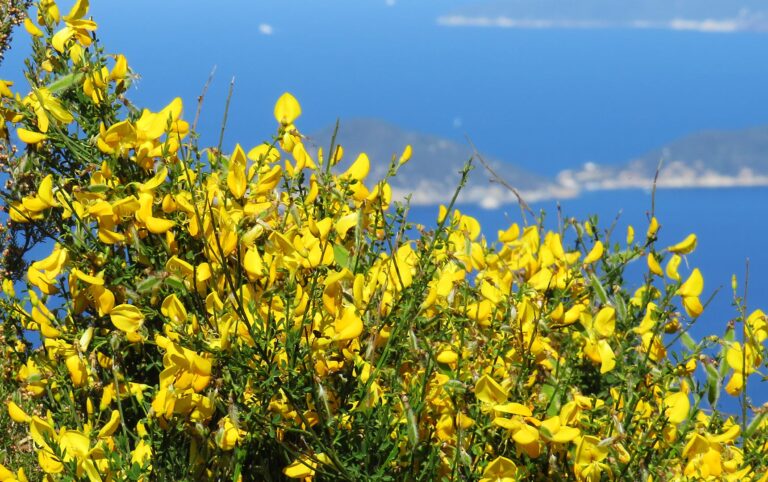 Outdoor Isola d'Elba