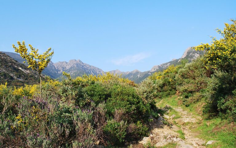 Outdoor Isola d'Elba