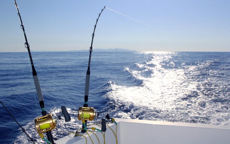 Outdoor Isola d'Elba